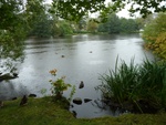 Parkmeertje Braunlage in de regen