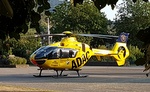 noodlanding vanwege vogel in de rotor